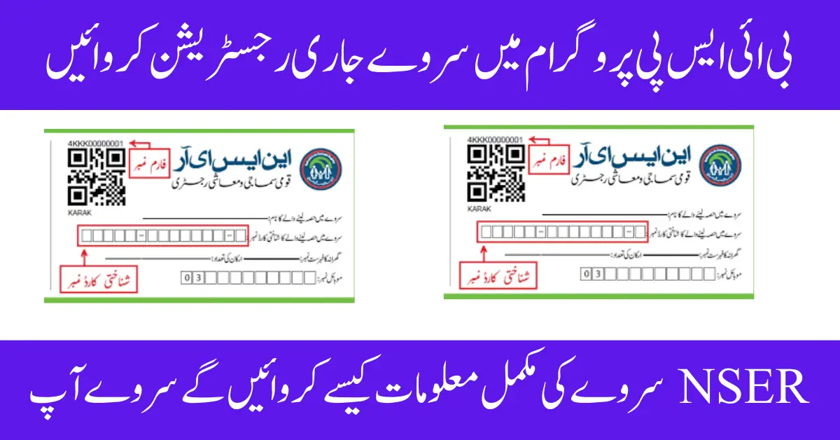 NSER Survey 2024 Register Yourself In Ehsaas And BISP Program